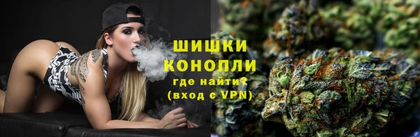 ГАЛЛЮЦИНОГЕННЫЕ ГРИБЫ Алзамай
