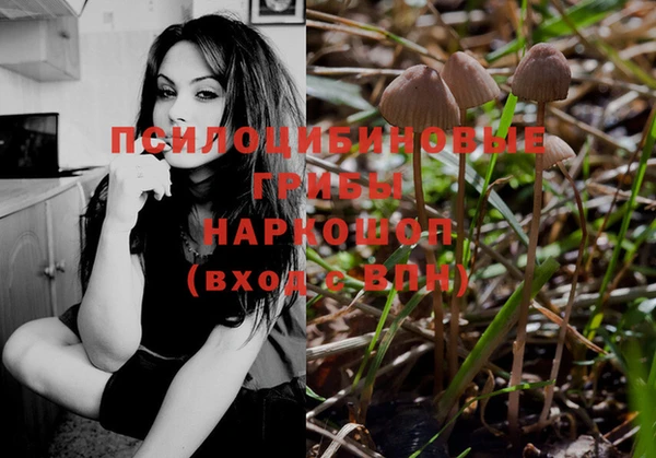 экстази Алексеевка