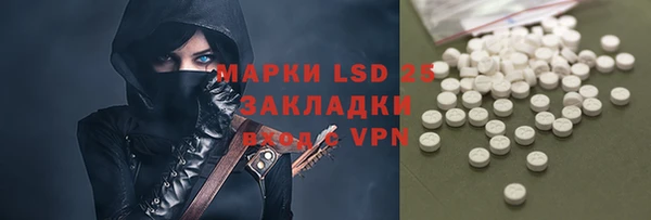 ГАЛЛЮЦИНОГЕННЫЕ ГРИБЫ Алзамай