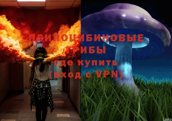 ГАЛЛЮЦИНОГЕННЫЕ ГРИБЫ Алзамай